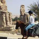 Horse Riding in Luxor