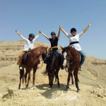 Horse Riding in Luxor