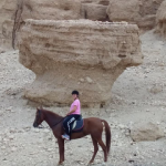 Horse Riding in Luxor