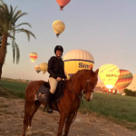 Horse Riding in Luxor