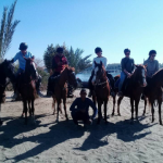 Horse Riding in Luxor