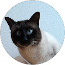 pearl wenzel profile picture