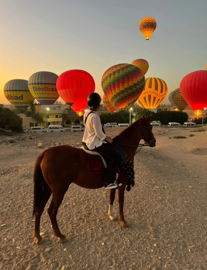 Horse Riding in Luxor