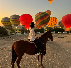 Horse Riding in Luxor