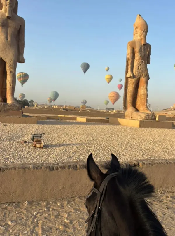 Horse-Riding-in-Luxor (38)