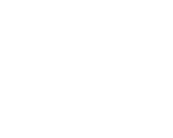 Horse Riding in Luxor ® | Luxor Stables +201005048558 | Certified Tours Since 1995